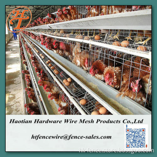 A type 4 tiers 5 doors chicken cages